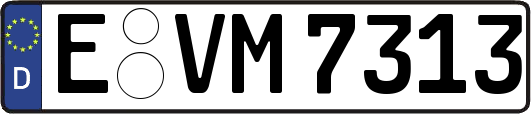 E-VM7313