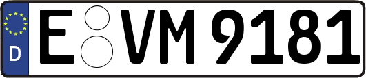 E-VM9181