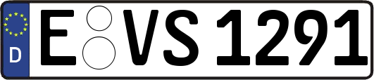 E-VS1291