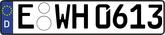 E-WH0613
