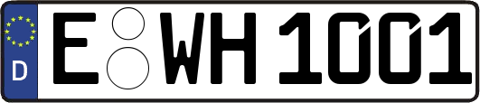 E-WH1001