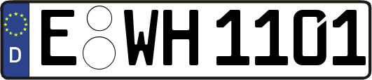 E-WH1101