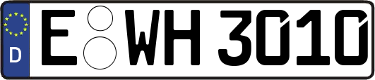 E-WH3010