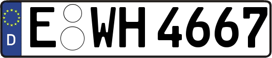 E-WH4667