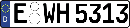 E-WH5313