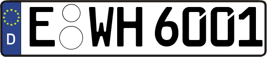 E-WH6001