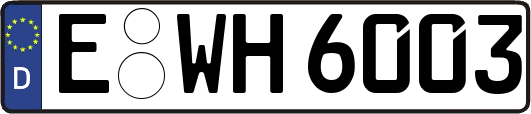 E-WH6003