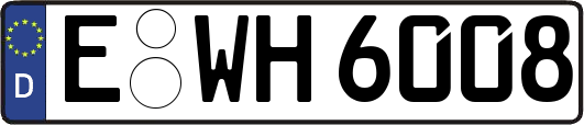 E-WH6008