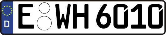 E-WH6010