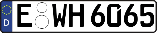 E-WH6065