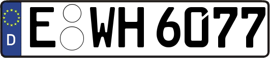 E-WH6077