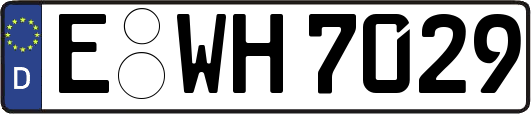 E-WH7029