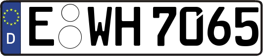 E-WH7065