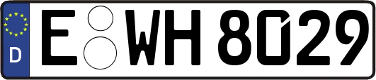 E-WH8029