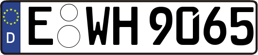 E-WH9065
