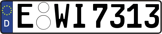 E-WI7313