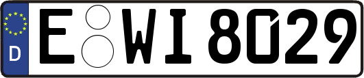 E-WI8029