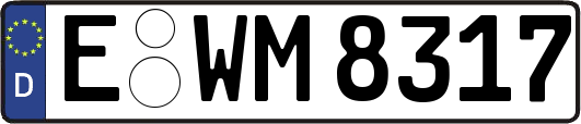 E-WM8317
