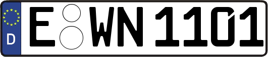 E-WN1101