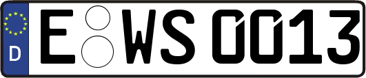E-WS0013