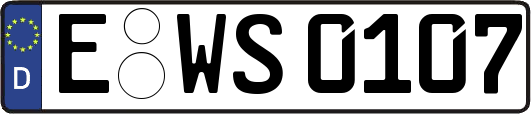 E-WS0107