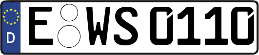 E-WS0110