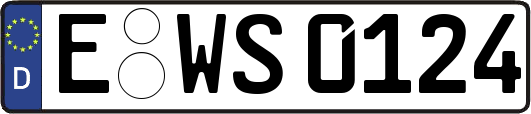 E-WS0124