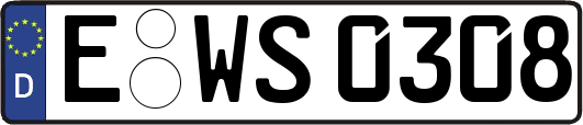 E-WS0308