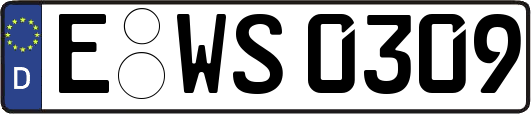 E-WS0309