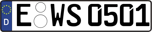 E-WS0501