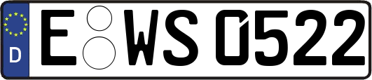 E-WS0522