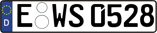 E-WS0528
