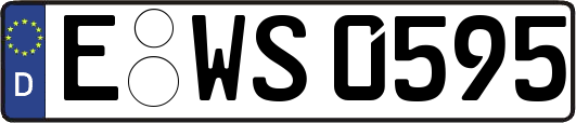 E-WS0595