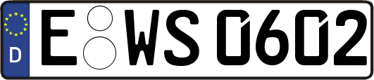 E-WS0602