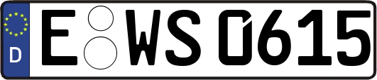 E-WS0615