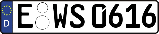 E-WS0616