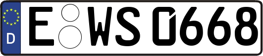 E-WS0668