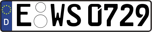 E-WS0729