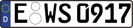 E-WS0917