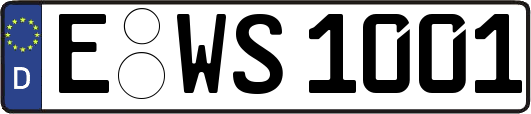 E-WS1001