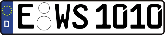 E-WS1010
