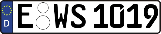 E-WS1019