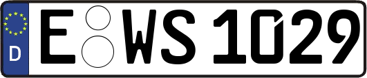E-WS1029