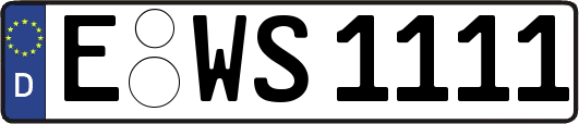 E-WS1111