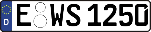 E-WS1250