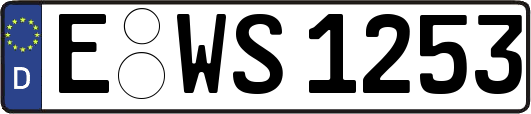 E-WS1253
