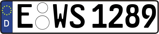 E-WS1289
