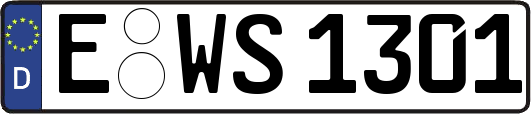 E-WS1301