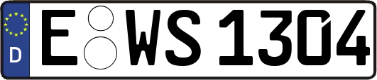 E-WS1304
