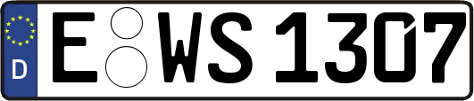 E-WS1307